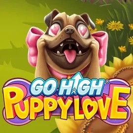 Go High Puppy Love by RubyPlay, showcased at qbet-online.com – game logo