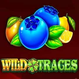 Wild Traces casino game by Amusnet Interactive – featured logo at Qbet Casino